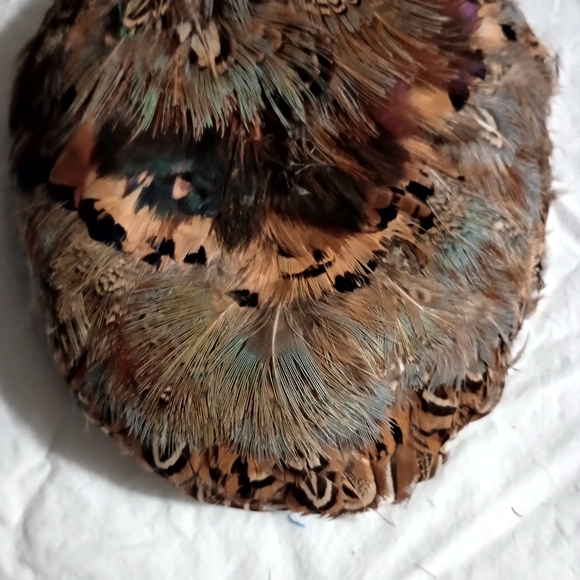 Vintage Pheasant Feather Hat Pill Box 1940's Sophisticated Charming Classy Cap - Picture 4 of 14